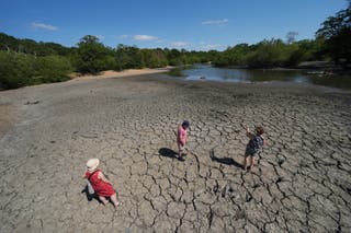 People experiencing the exposed, cracked, and dried mud bed of Hollow Pond in south-east London